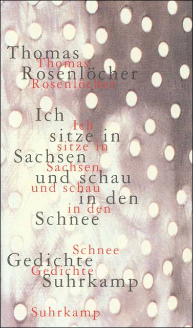 Ich sitze in Sachsen und schau in den Schnee 77 Gedichte