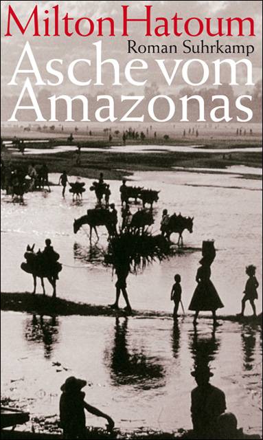 Asche vom Amazonas Roman
