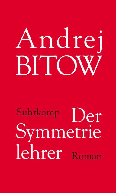 Der Symmetrielehrer Roman