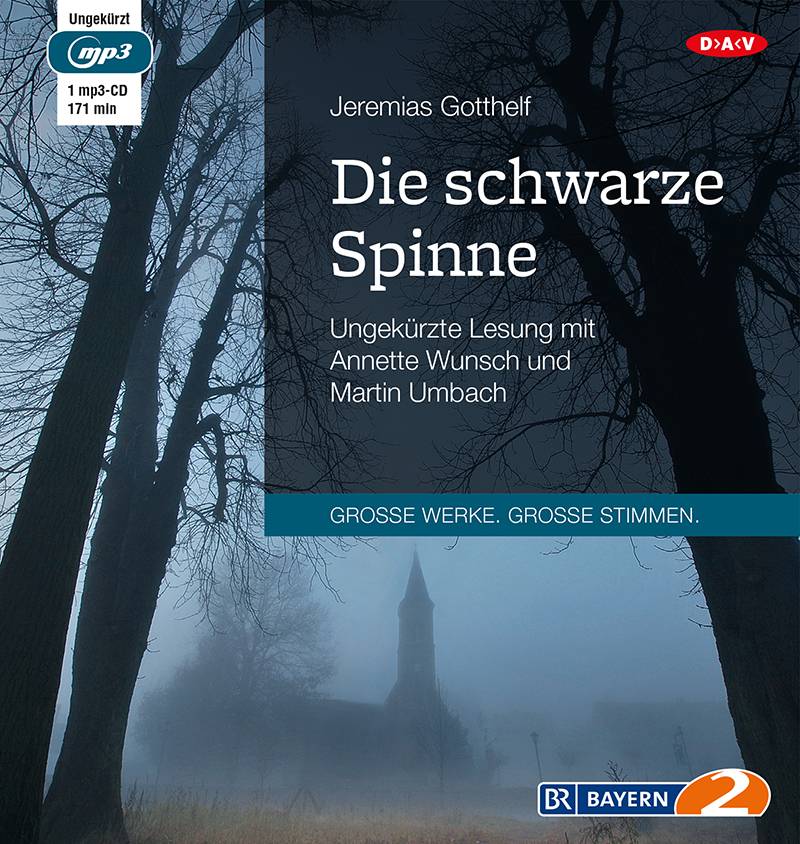 Die schwarze Spinne, 1 MP3-CD Gekürzte Lesung