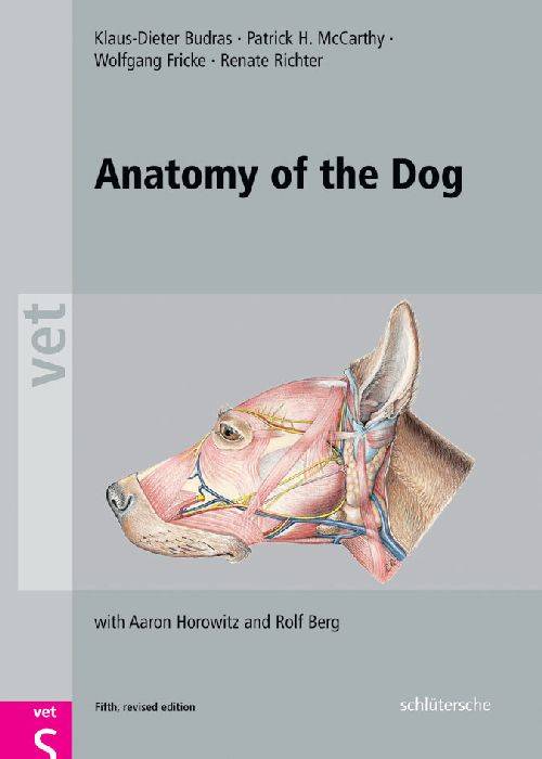 Anatomy of the Dog An Illustrated Text