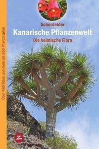 Kanarische Pflanzenwelt Die heimische Flora