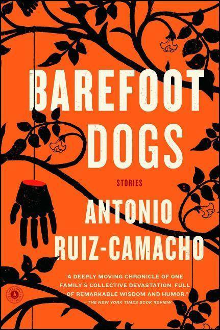 Barefoot Dogs Stories