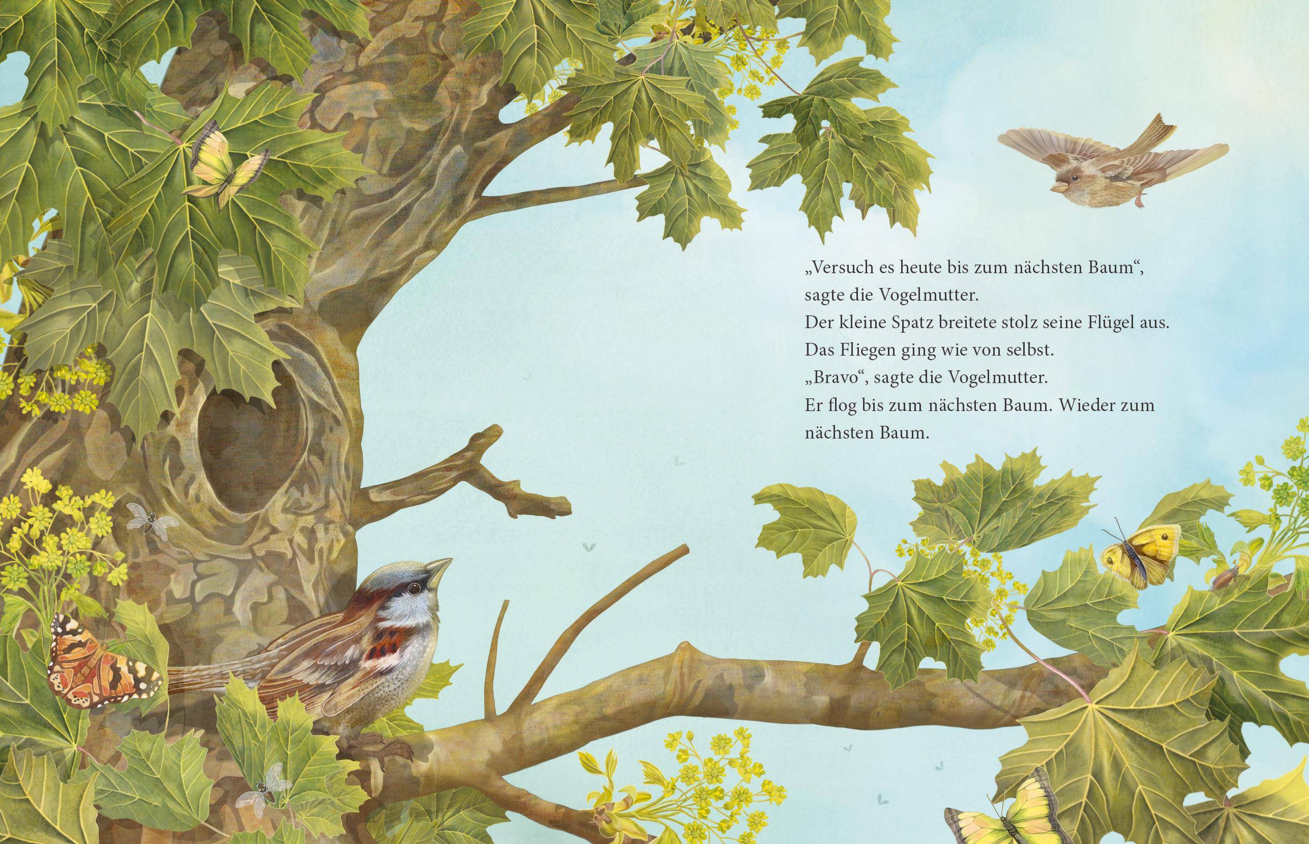 Ich kann's, sagte der kleine Spatz Bilderbuch