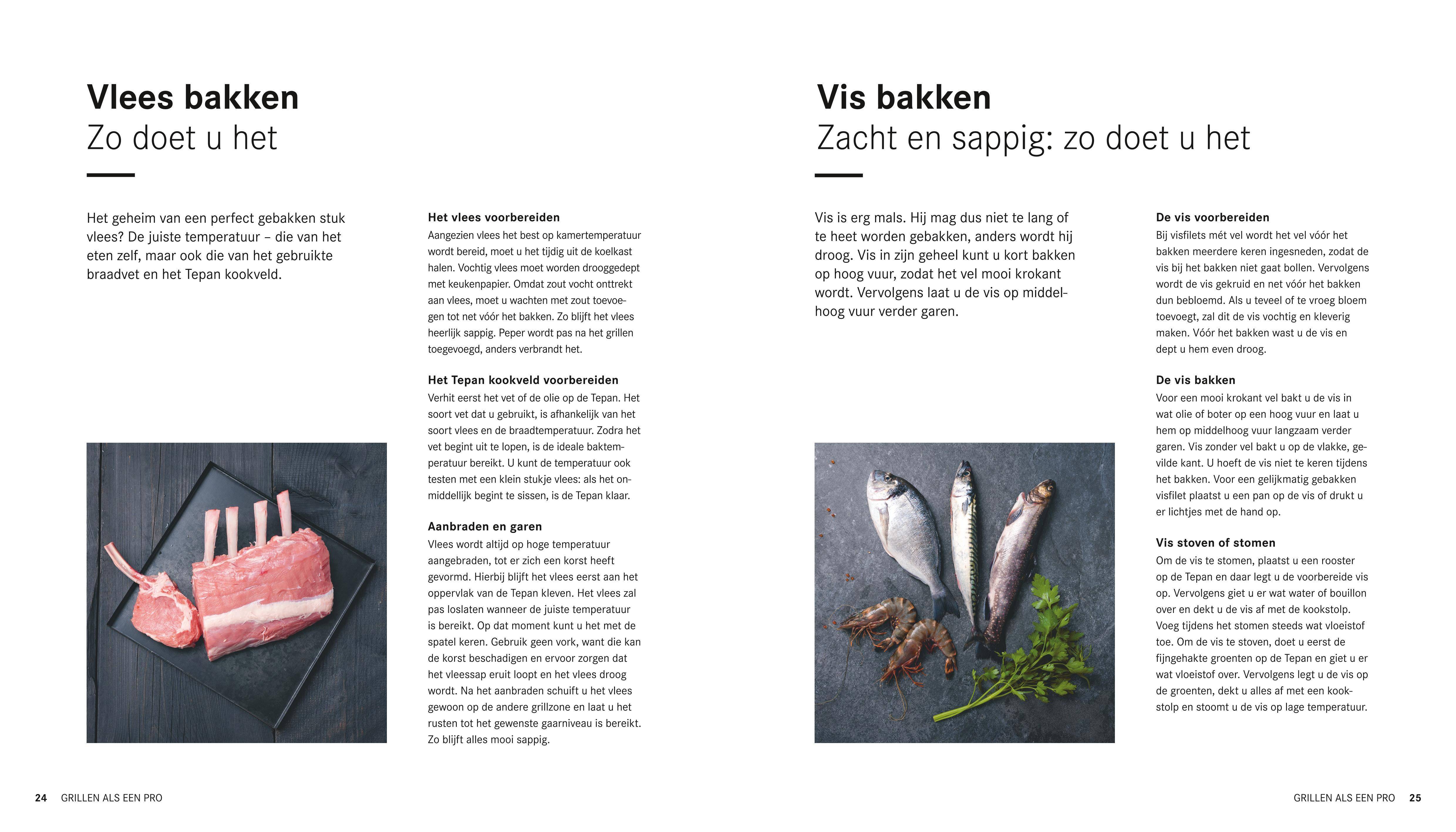 INDOOR GRILLEN Het grote BORA Tepan boek