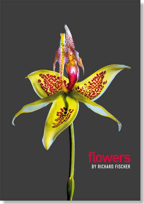 Flowers Floral Sculptures. Immerwährender Kalender