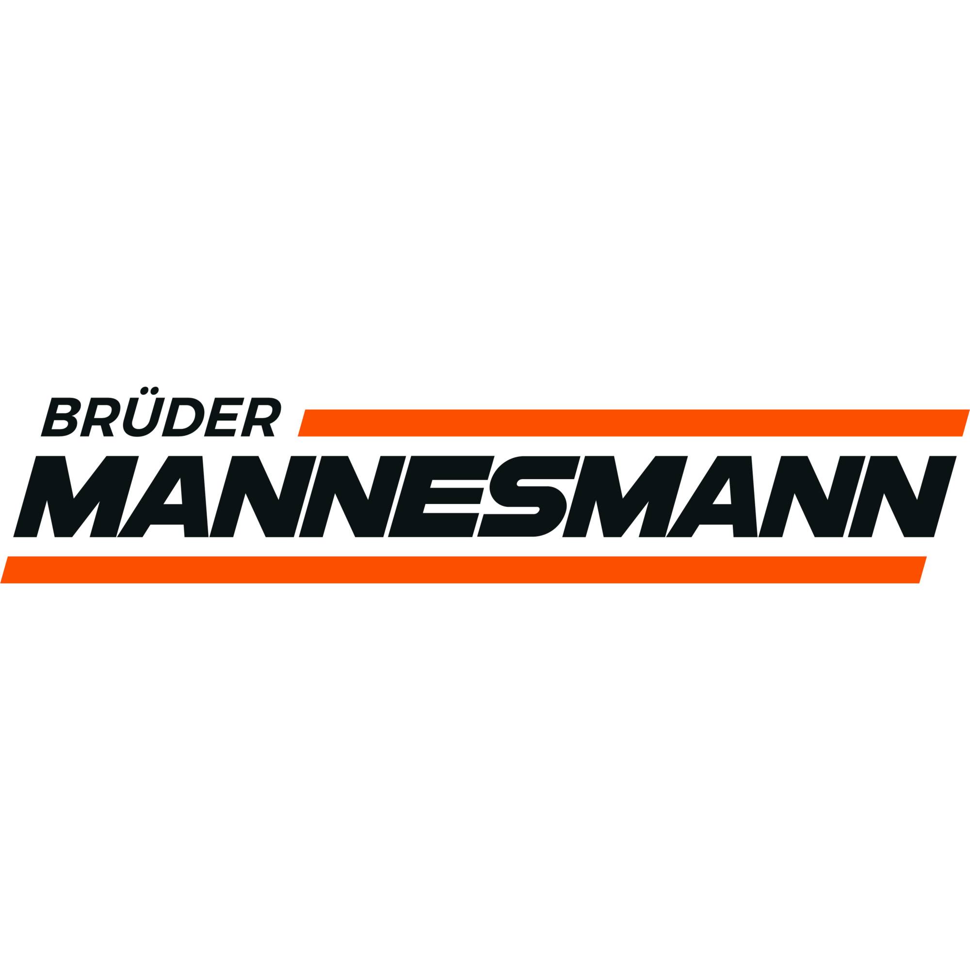BRÜDER MANNESMANN Werkzeugkoffer M29078 160teilig
