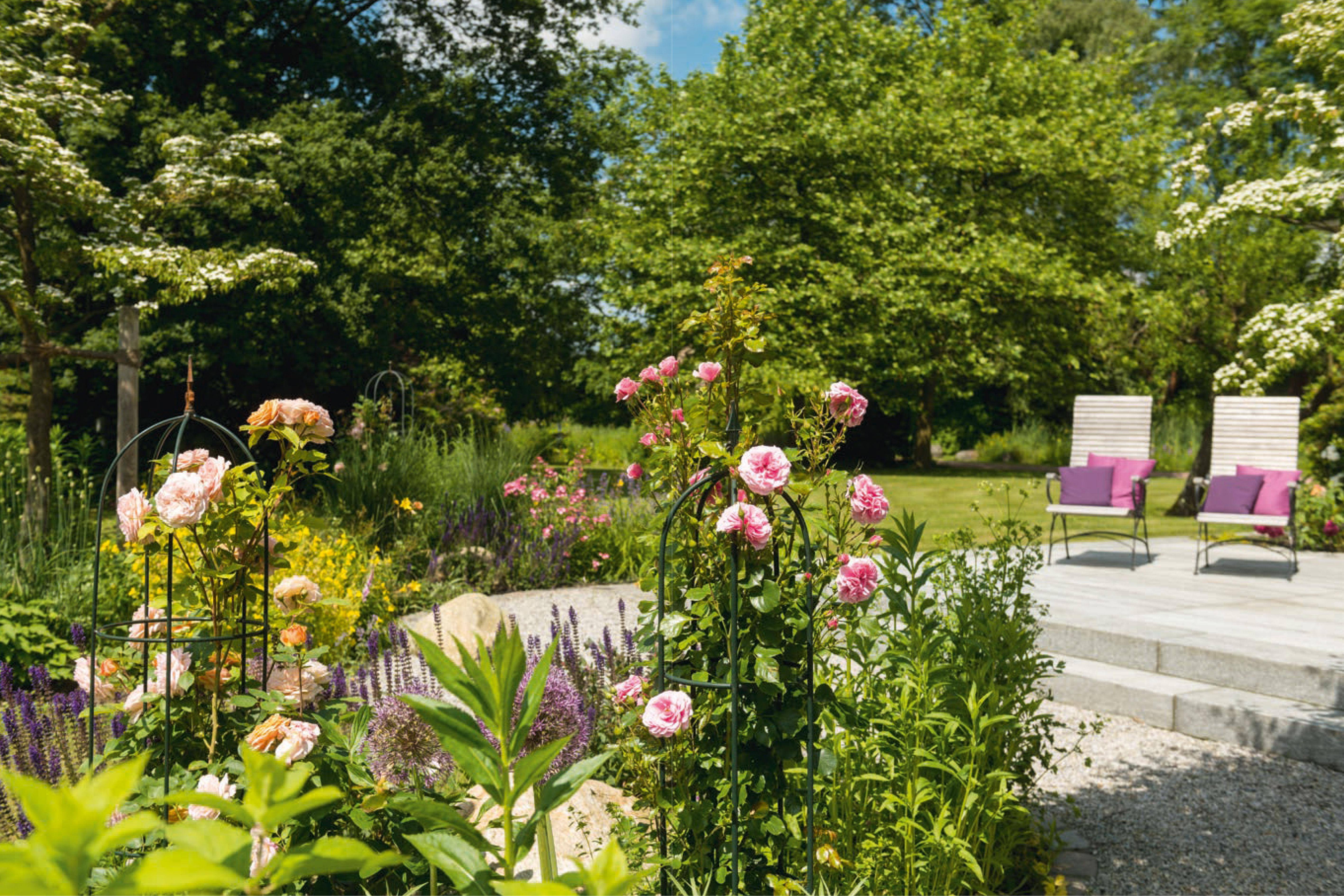 Vom Traum zum Traumgarten  Das große Vorher-Nachher-Gartenbuch Die schönsten Projekte der Gärtner von Eden