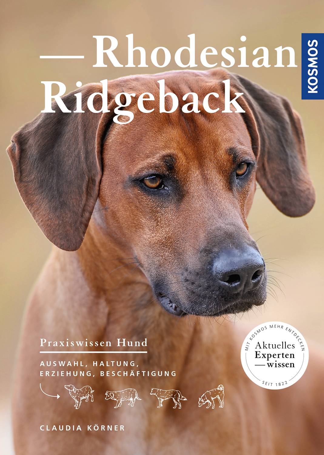 Rhodesian Ridgeback Auswahl, Haltung, Erziehung, Beschäftigung