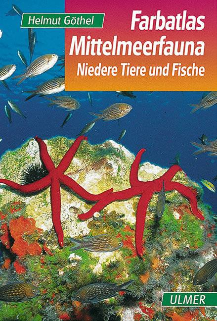 Mittelmeerfauna Niedere Tiere und Fische