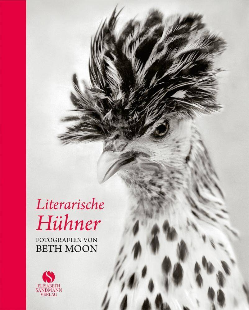 Literarische Hühner Fotografien von Beth Moon