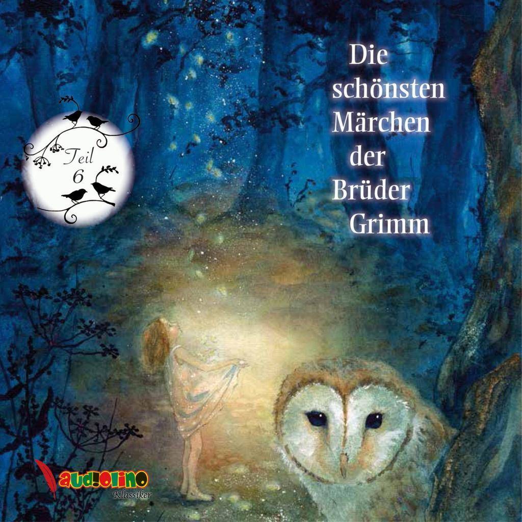 Die schönsten Märchen der Brüder Grimm. Tl.6, 1 Audio-CD Teil 6, Lesung. CD Standard Audio Format