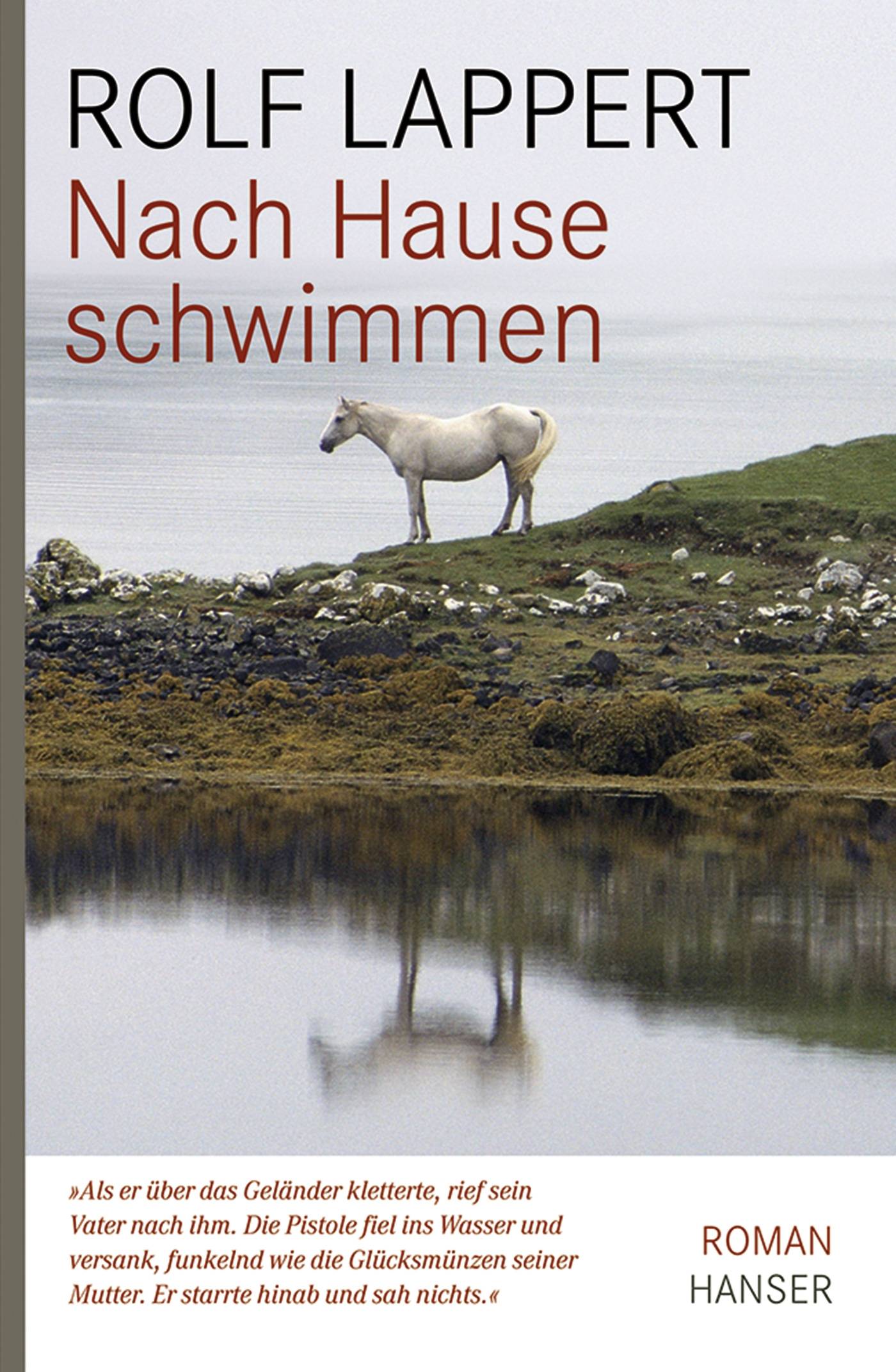 Nach Hause schwimmen Roman. Ausgezeichnet mit dem Schweizer Buchpreis 2008