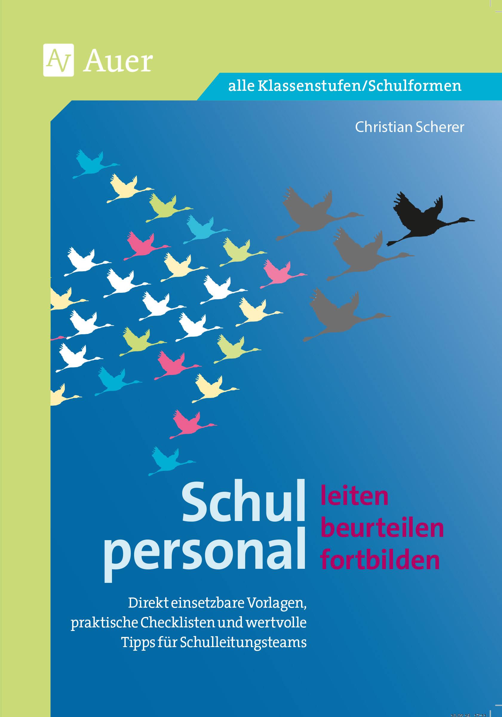 Schulpersonal leiten, beurteilen, fortbilden Direkt einsetzbare Vorlagen, praktische Check listen und wertvolle Tipps für Schulleitungsteams (Alle