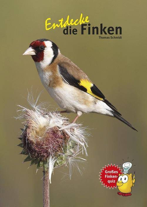 Entdecke die Finken Mit großem Finkenquiz