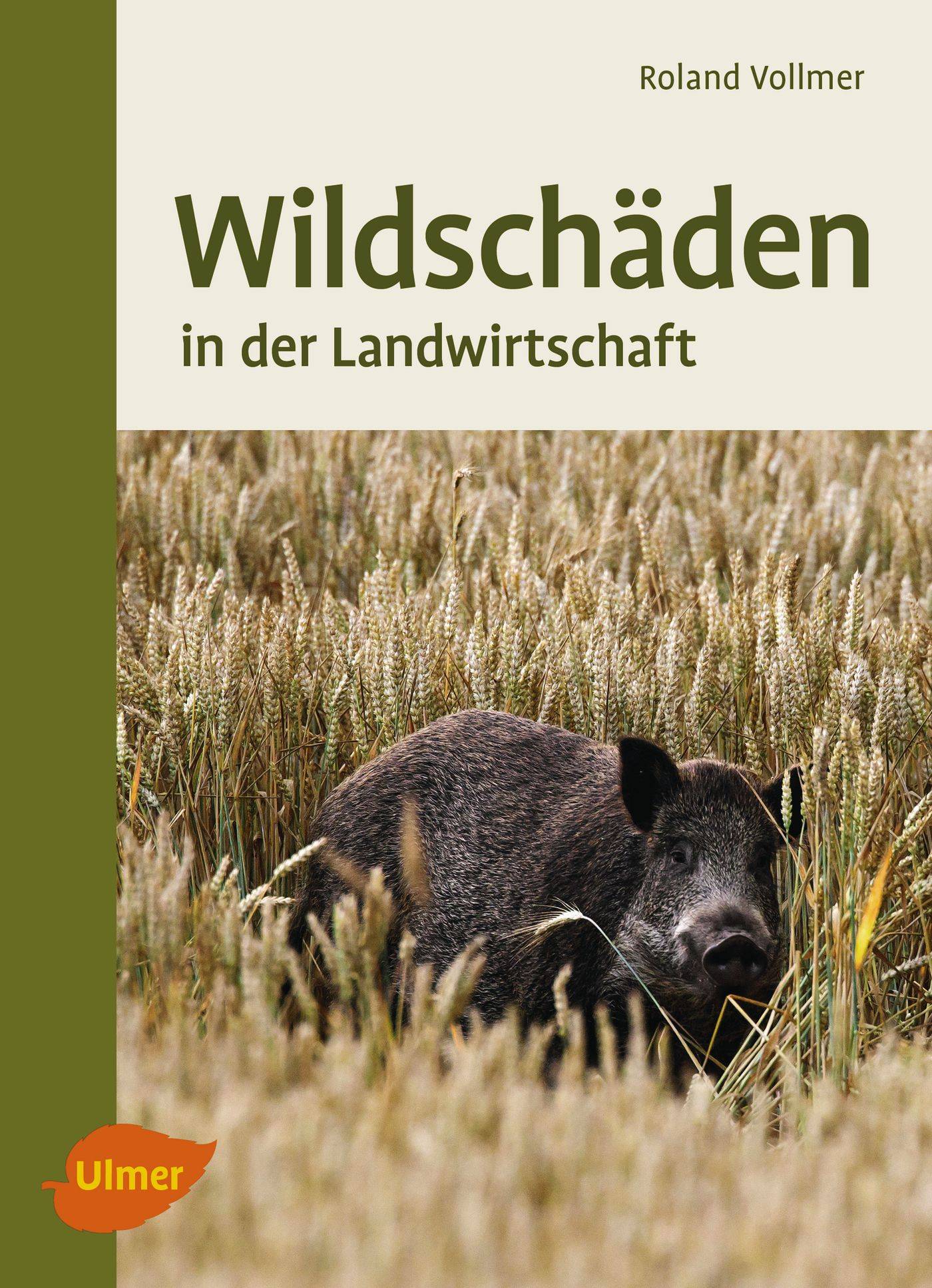 Wildschäden In der Landwirtschaft
