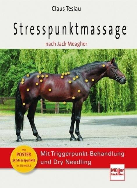Stresspunktmassage nach Jack Meagher Mit Triggerpunkt-Behandlung und Dry Needling. Mit Poster 25 Stresspunkte im Überblick