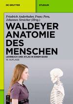 Waldeyer Anatomie des Menschen Lehrbuch und Atlas in einem Band