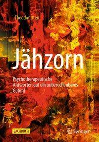 Jähzorn Psychotherapeutische Antworten auf ein unberechenbares Gefühl