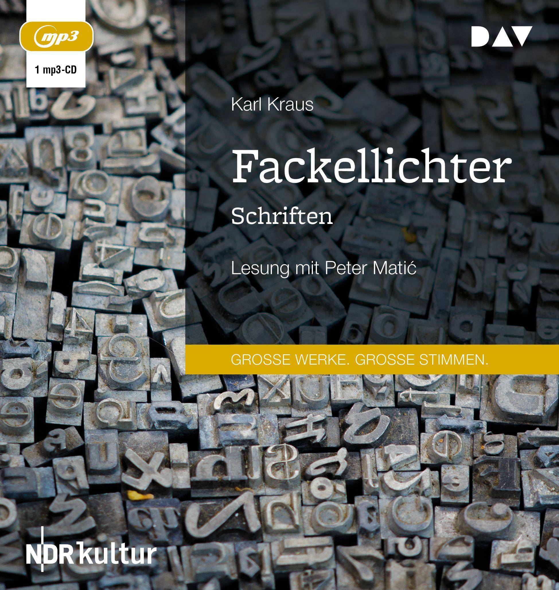 Fackellichter. Schriften, 1 Audio-CD, MP3 Lesung mit Peter Matic (1 mp3-CD), Lesung