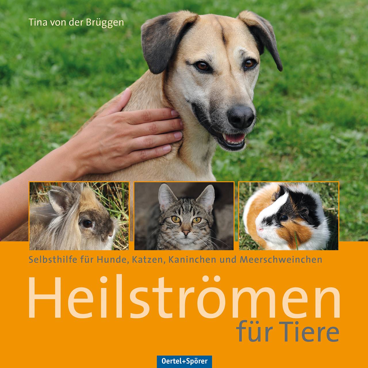 Heilströmen für Tiere Selbsthilfe für Hunde, Katzen, Kaninchen und Meerschweinchen