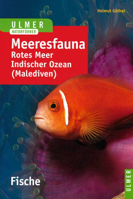 Ulmer Naturführer Meeresfauna Rotes Meer, Indischer Ozean, Malediven