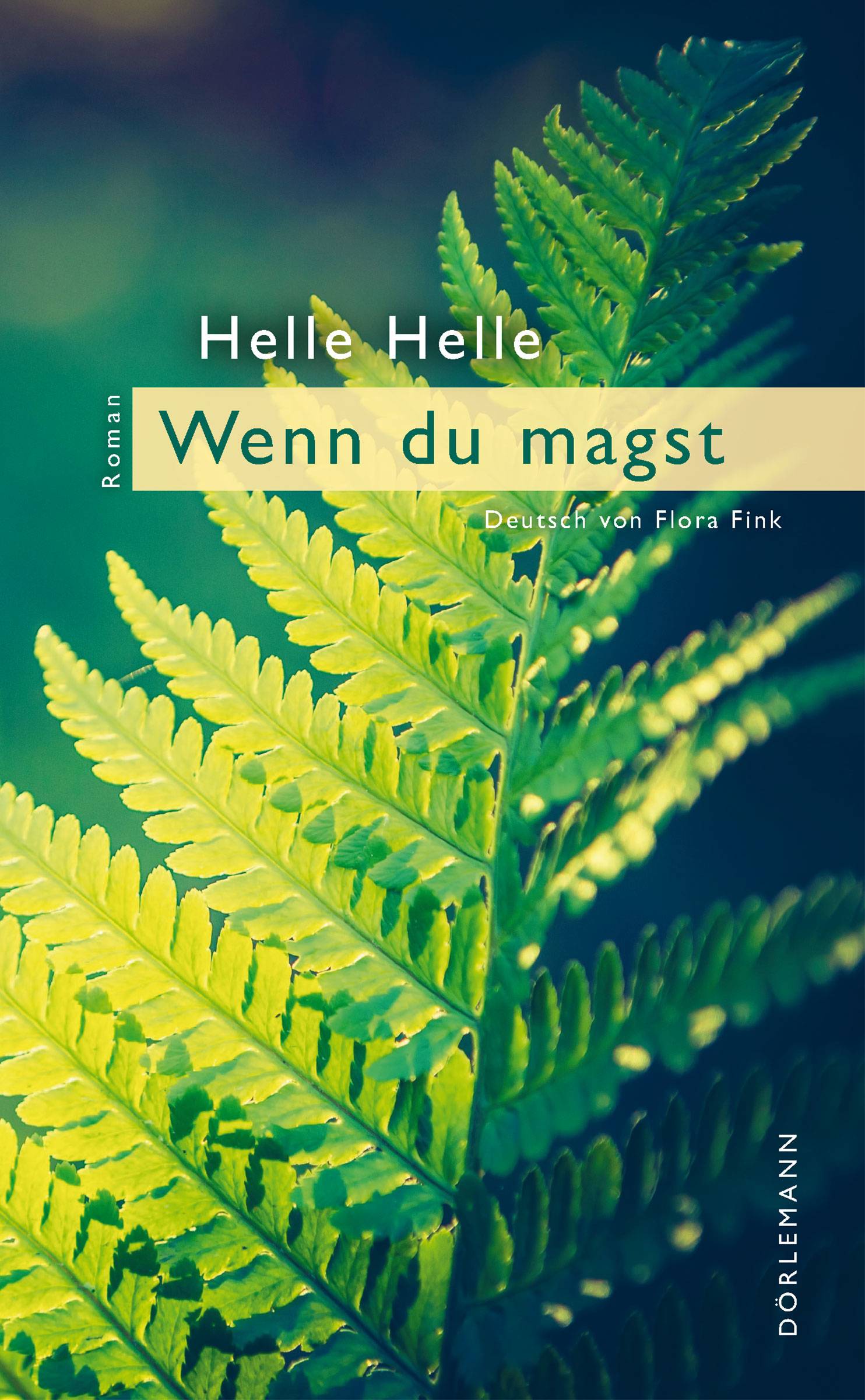 Wenn Du magst Roman