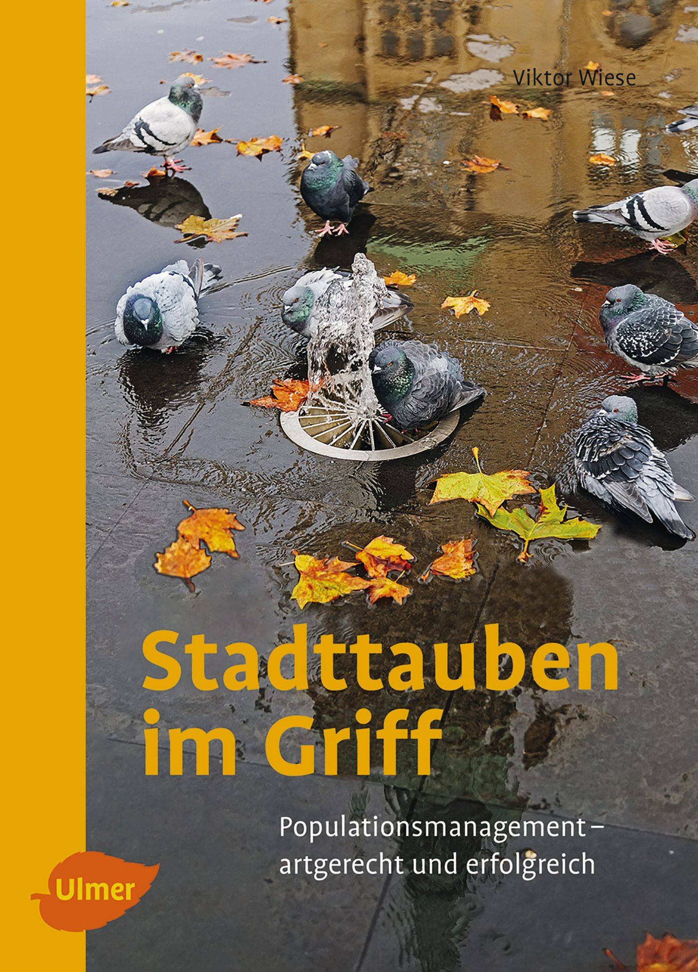 Stadttauben im Griff Populationsmanagement  artgerecht und erfolgreich
