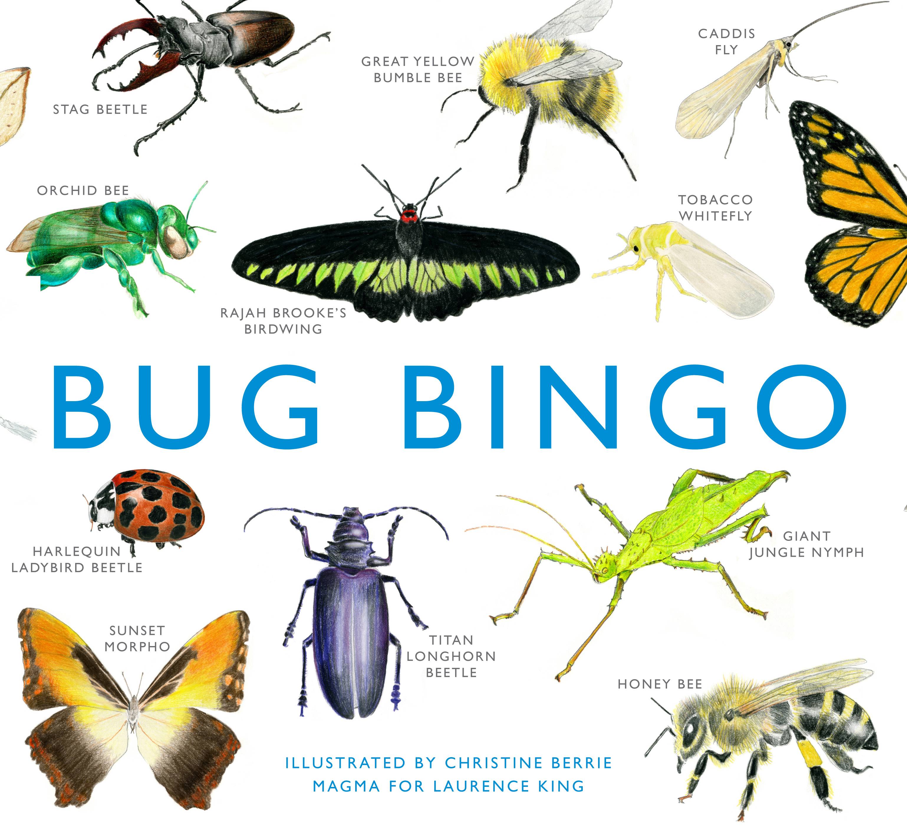 Bug Bingo Gesellschaftsspiel