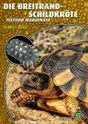 Die Breitrandschildkröte Testudo marginata