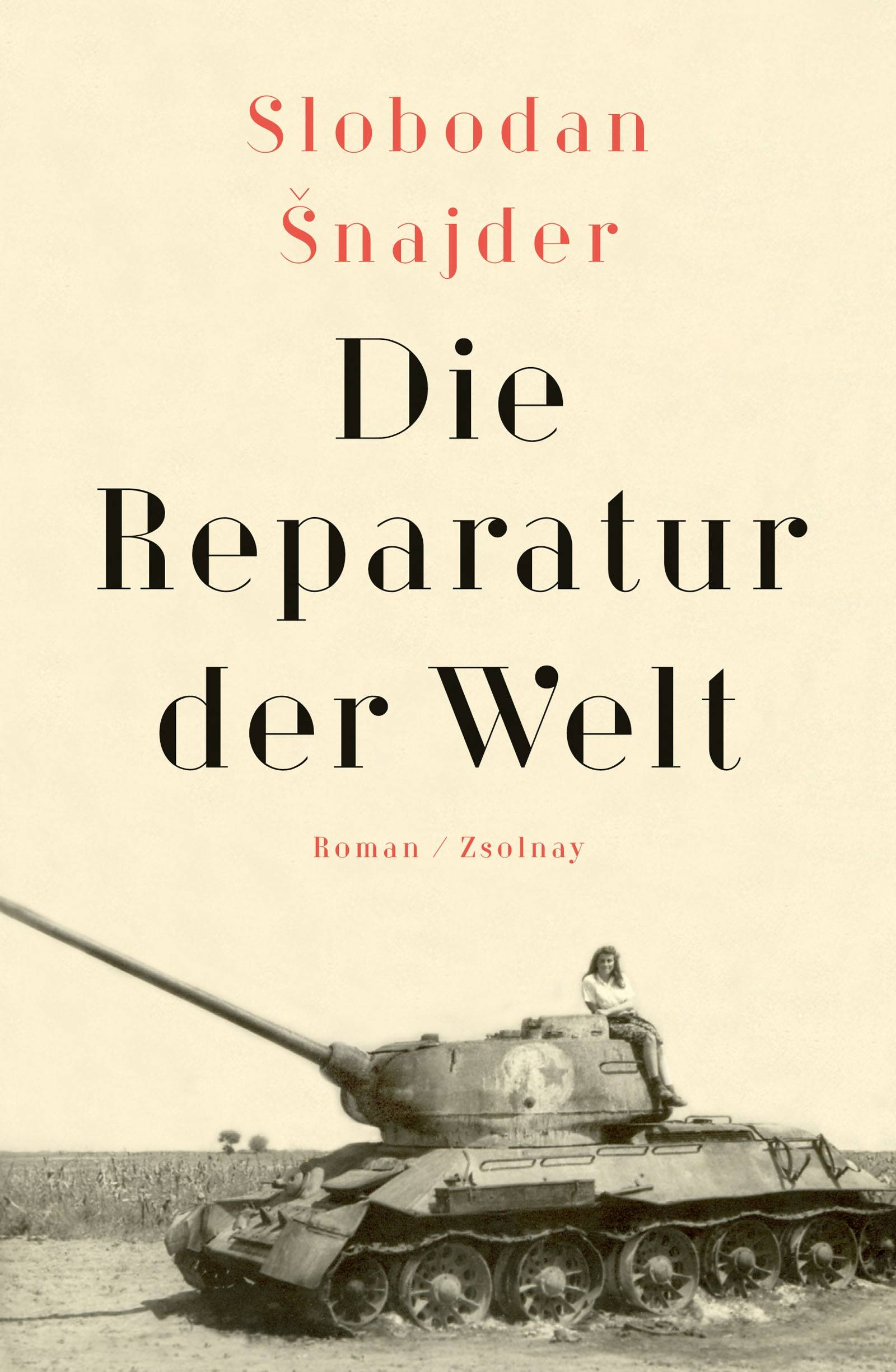 Die Reparatur der Welt Roman