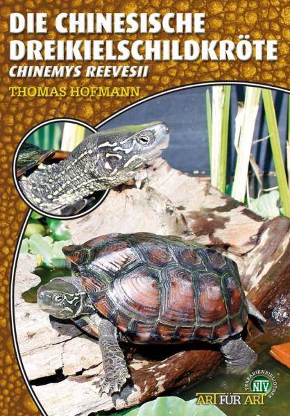 Die Chinesische Dreikielschildkröte Chinemys reevesii