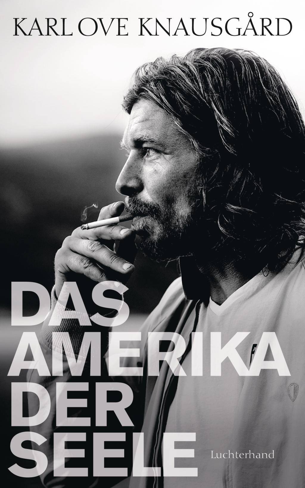 Das Amerika der Seele Essays 1996-2013