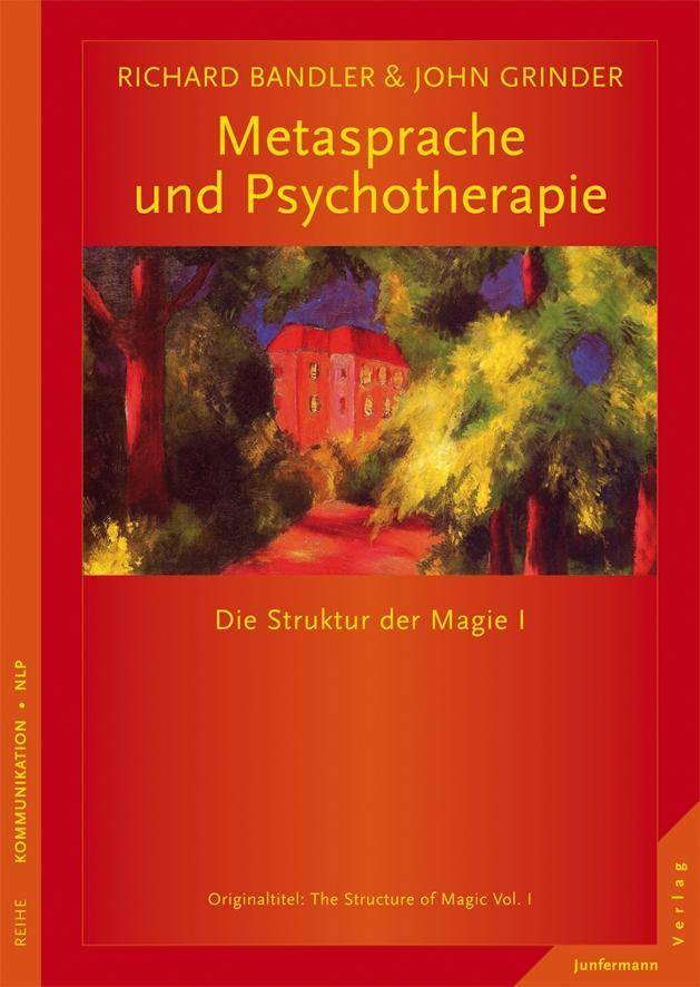Metasprache und Psychotherapie Ein Buch über Sprache und Therapie