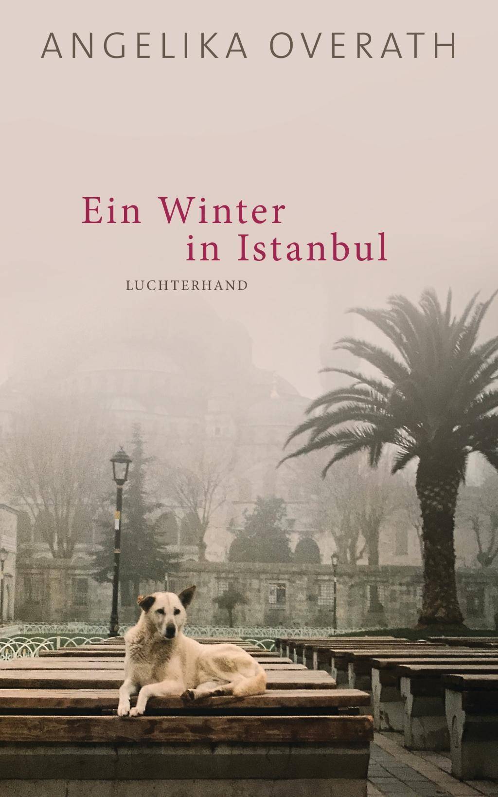 Ein Winter in Istanbul Roman