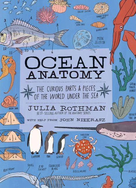 Ocean Anatomy A 28-Day Program to Realize the Power of Meditation