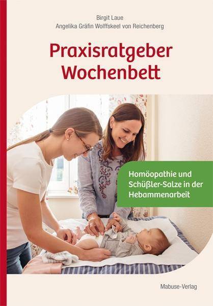 Praxisratgeber Wochenbett Homöopathie und Schüßler-Salze in der Hebammenarbeit