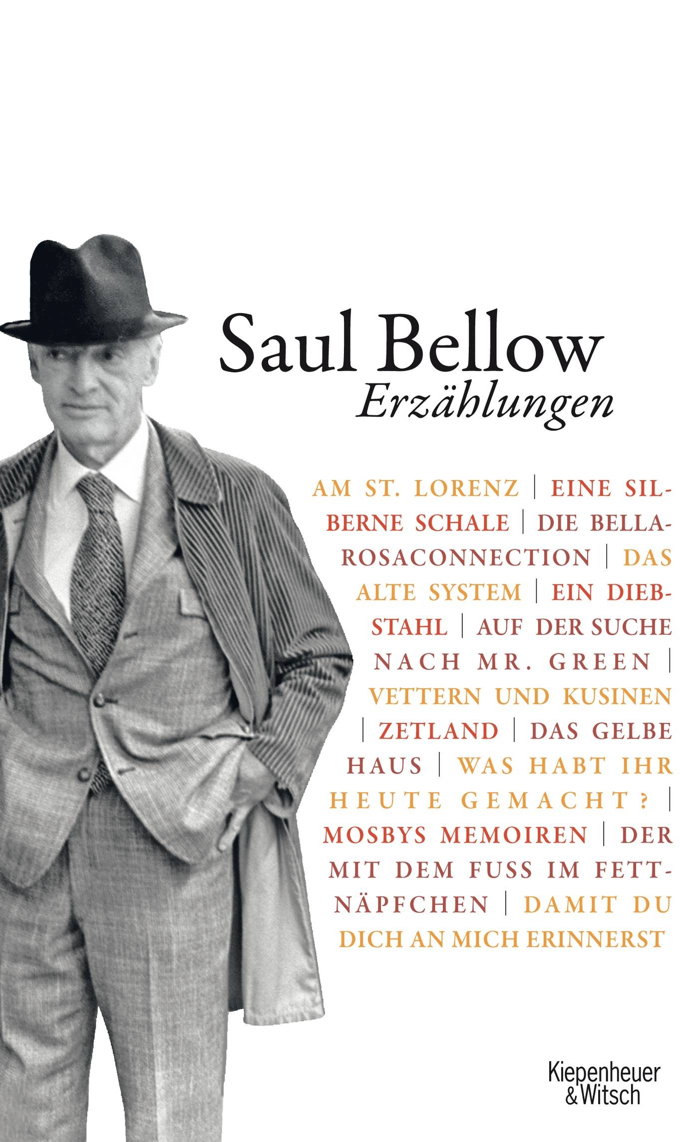 Erzählungen Mit e. Vorw v. Janis Bellow u. e. Einf. v. James Wood