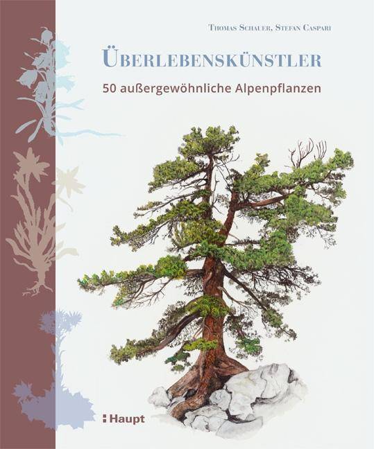 Überlebenskünstler 50 außerordentliche Alpenpflanzen