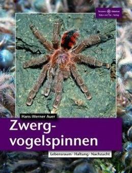 Zwergvogelspinnen Lebensraum, Haltung, Nachzucht