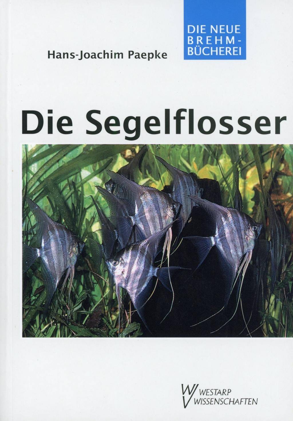 Segelflosser Die Gattung Pterophyllum