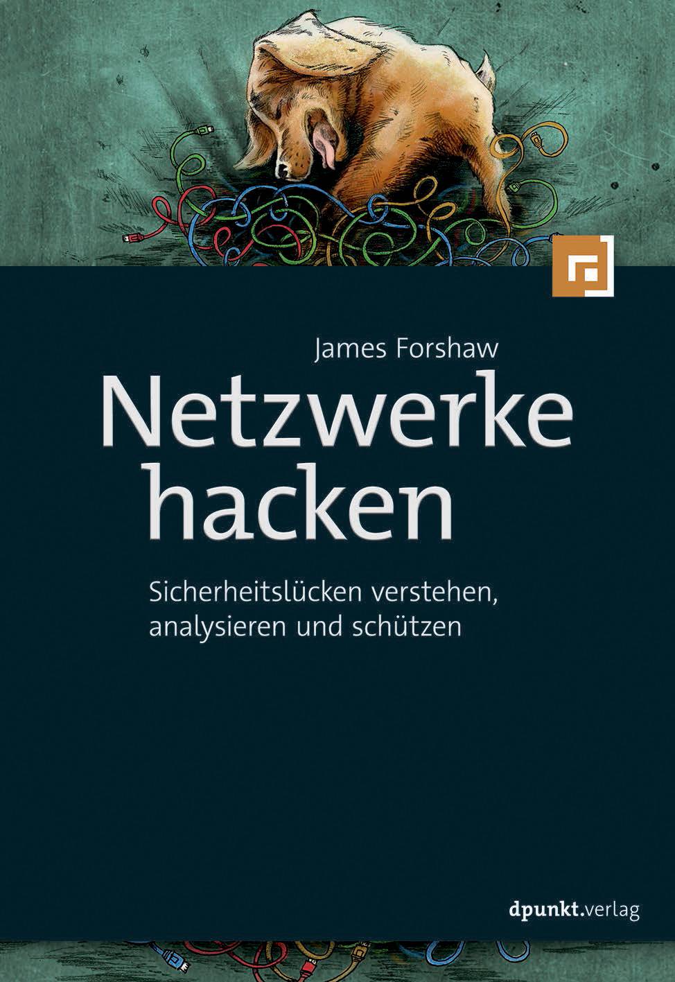 Netzwerkprotokolle hacken Sicherheitslücken verstehen, analysieren und schützen