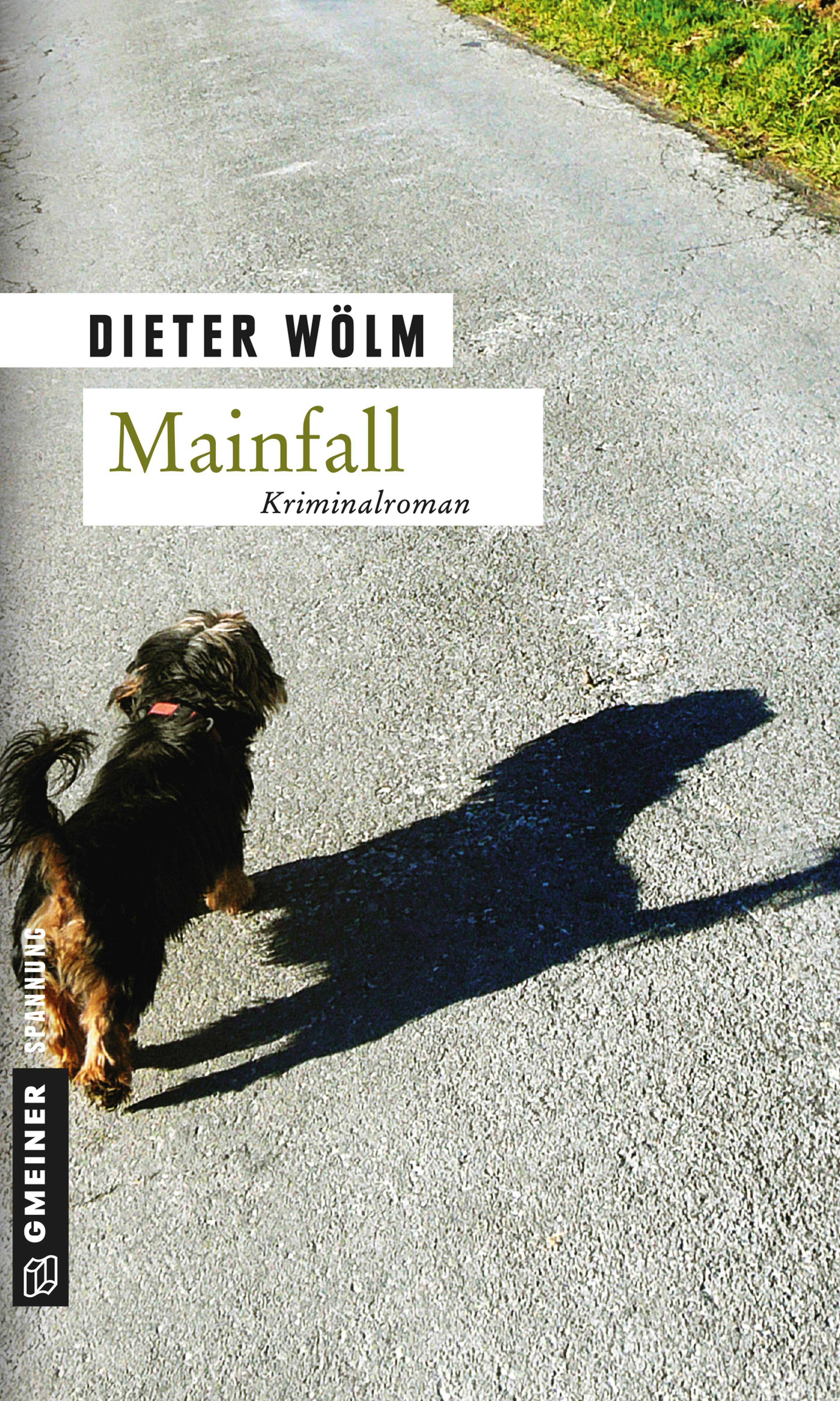 Mainfall Kriminalroman