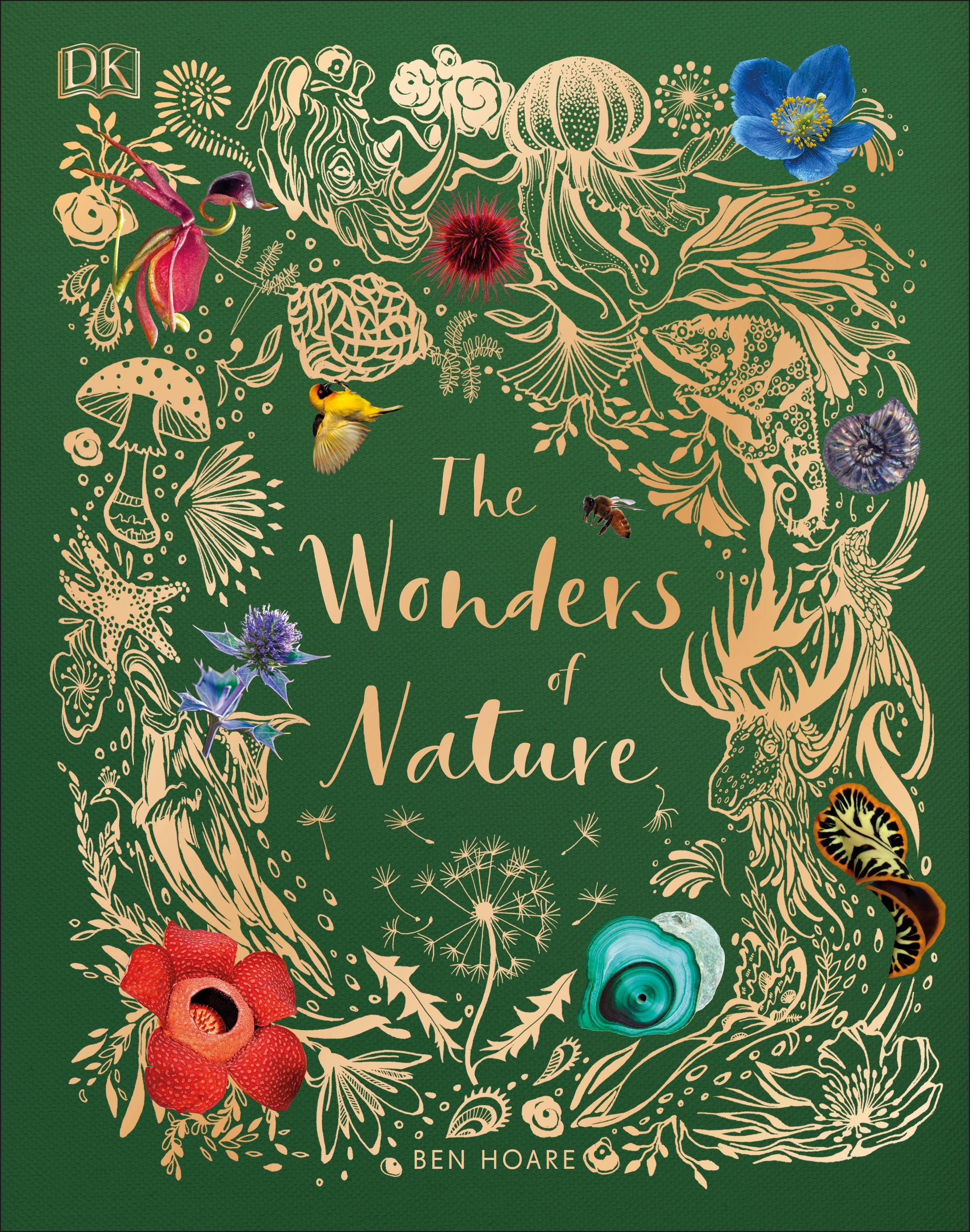The Wonders of Nature