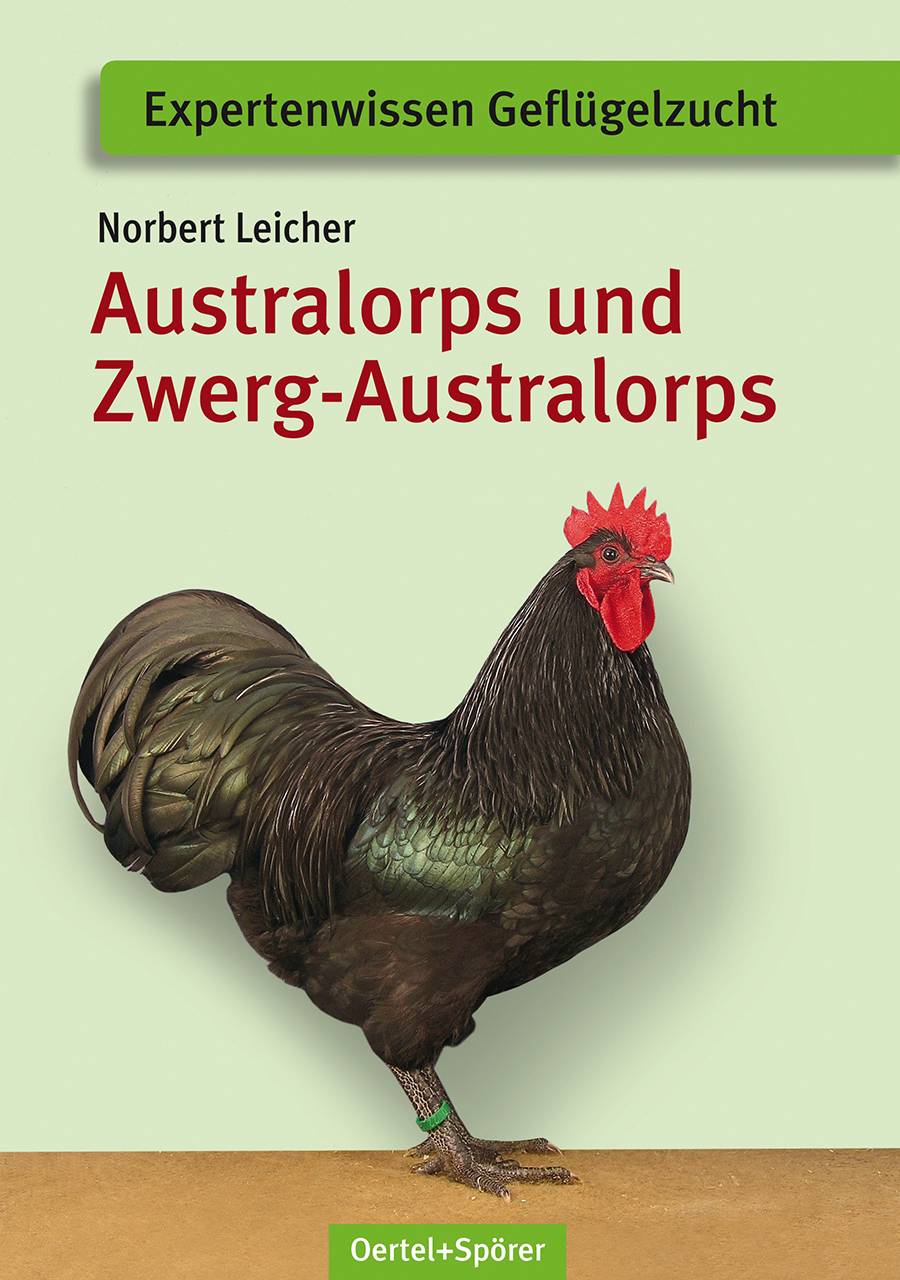 Australorps und Zwerg-Australorps Expertenwissen Geflügelzucht
