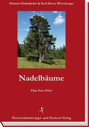Nadelbäume Eine Foto-Fibel
