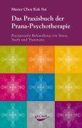 Das Praxisbuch der Prana-Psychotherapie Energetische Behandlung von Stress, Sucht und Traumata