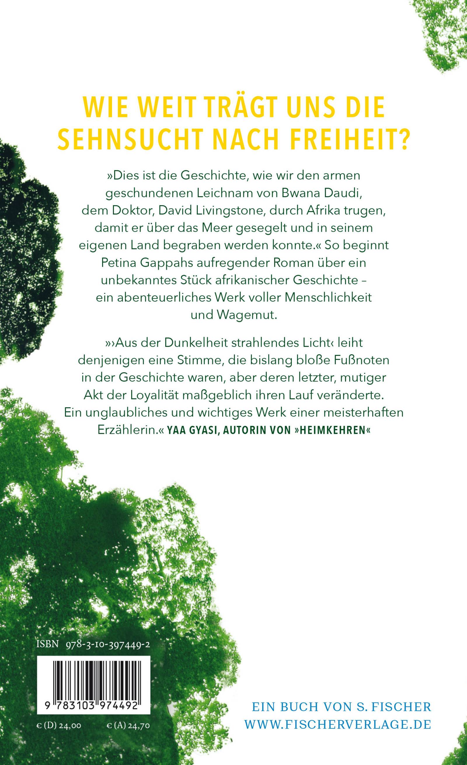 Aus der Dunkelheit strahlendes Licht Roman