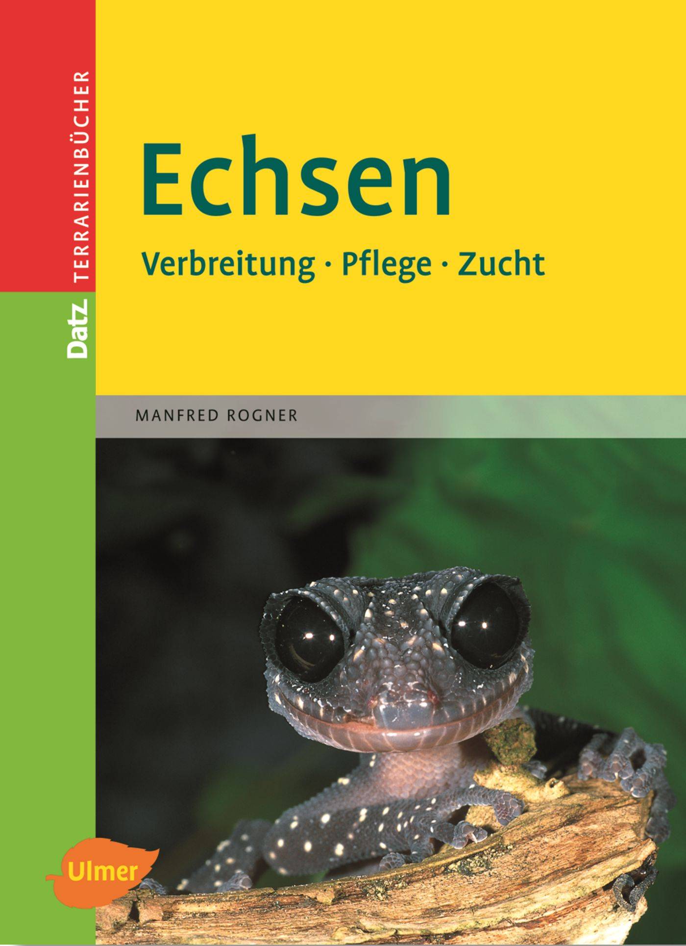 Echsen Verbreitung, Pflege, Zucht