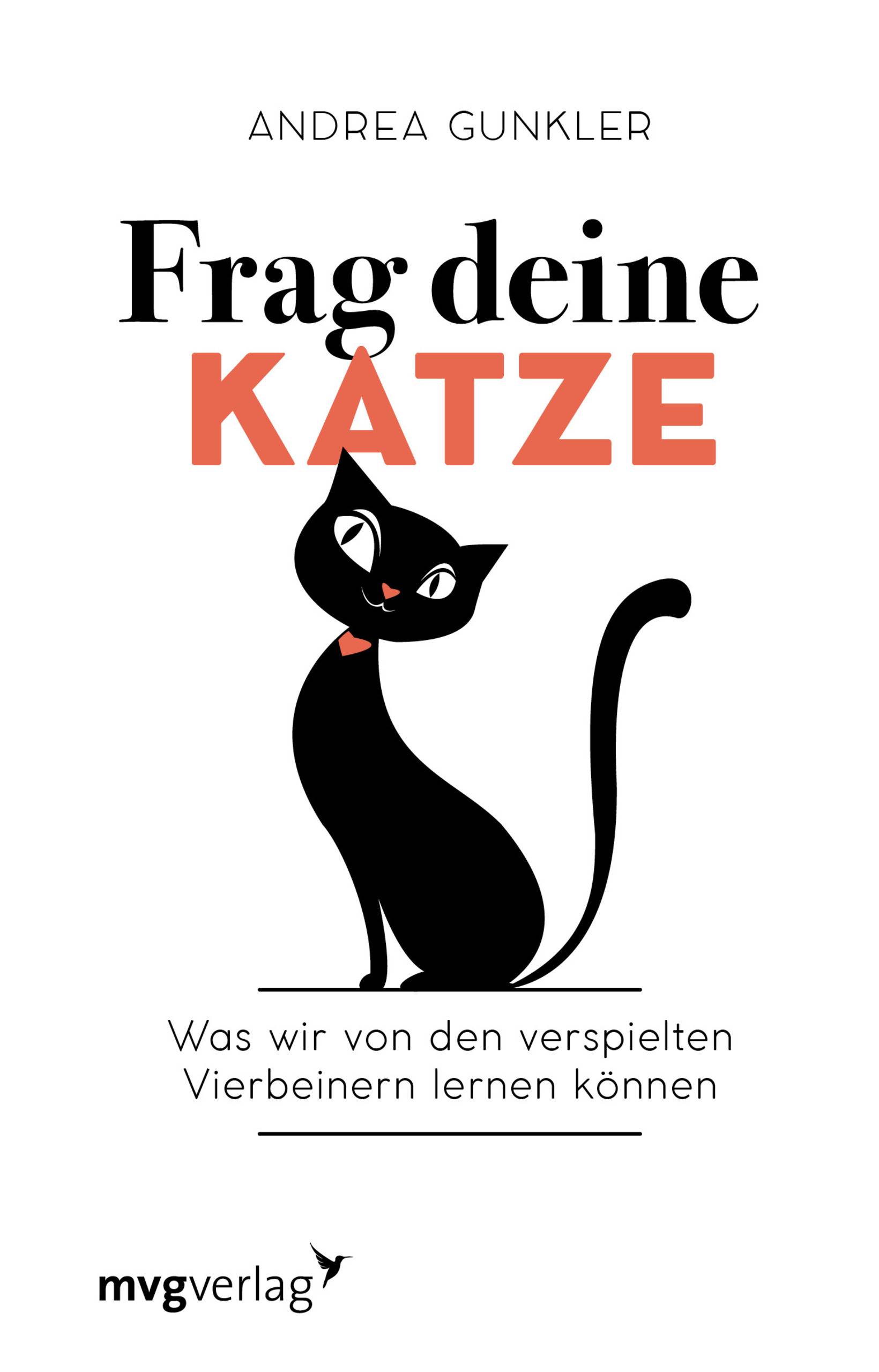 Frag deine Katze Was wir von den verspielten Vierbeinern lernen können